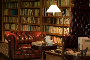 Hotel Carlina La Clusaz - bar - library