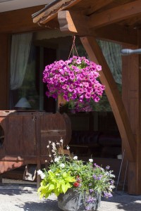 Hotel Carlina La Clusaz - summertime terrace detail
